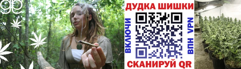 Канабис гибрид  Кохма 